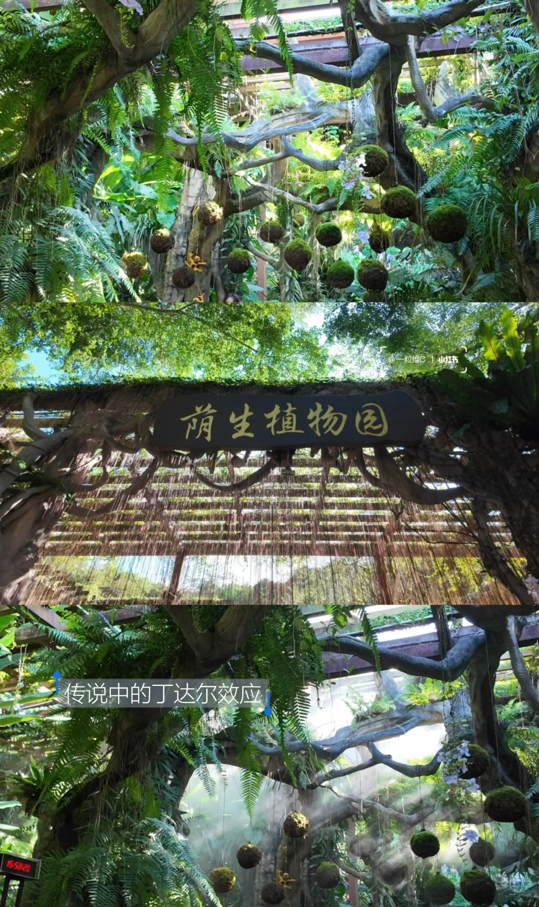 广西南宁｜三天两夜旅行攻略🌳