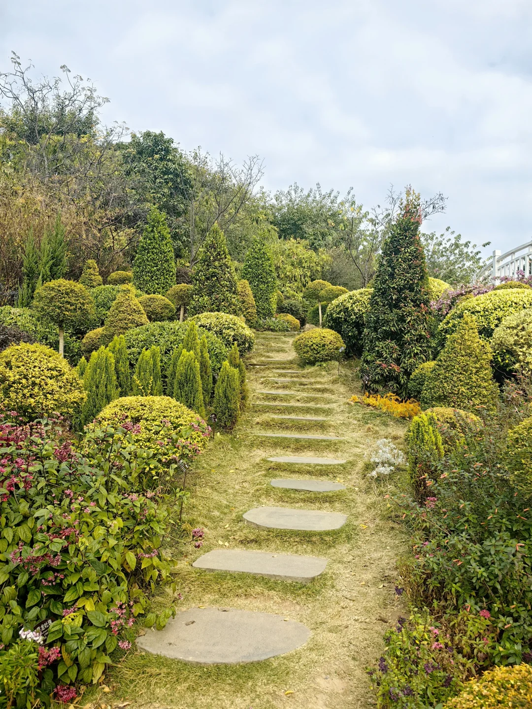 2025寒假之南宁篇