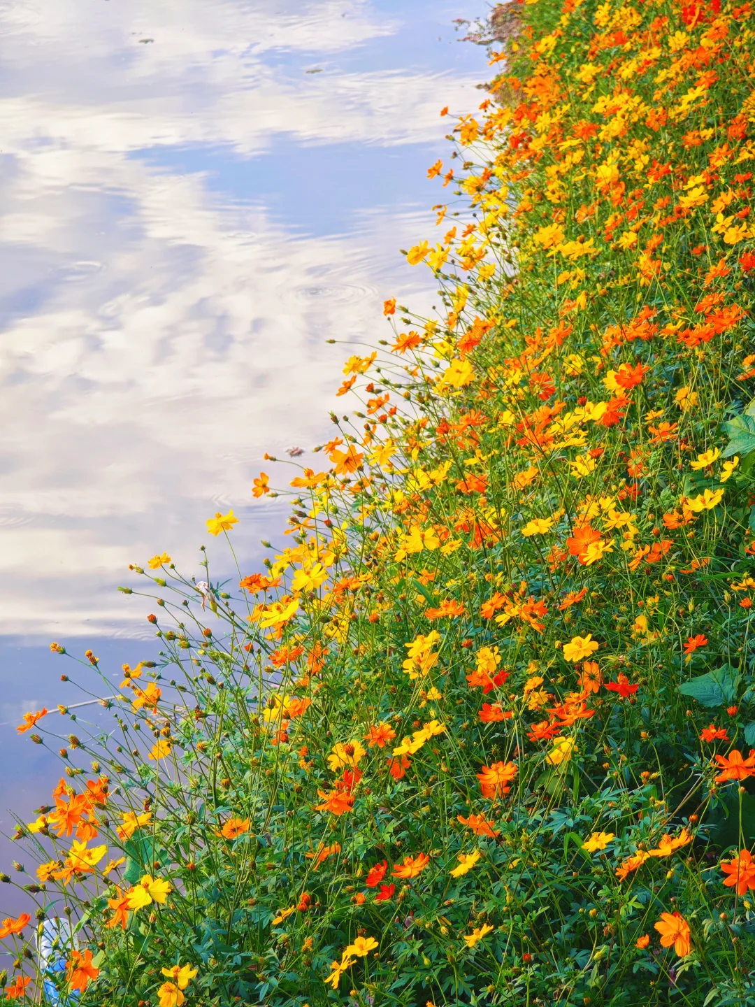 感觉一半的南宁人都去了青秀山