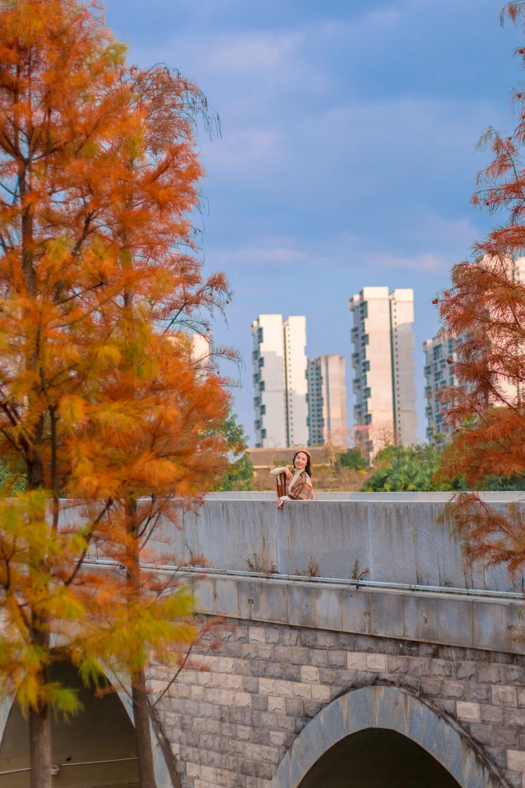 爆款机位被我“包场”了｜柳州水杉秘境