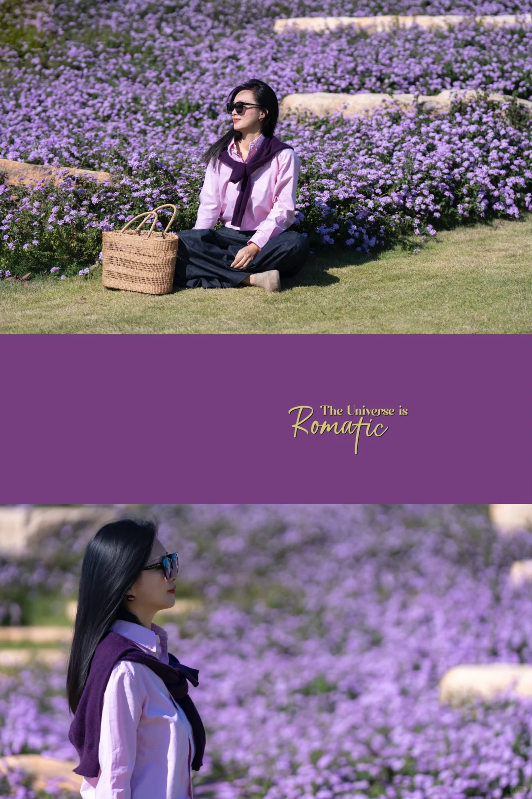 在南方，我闯入了莫奈的冬日花园💜紫色浪漫