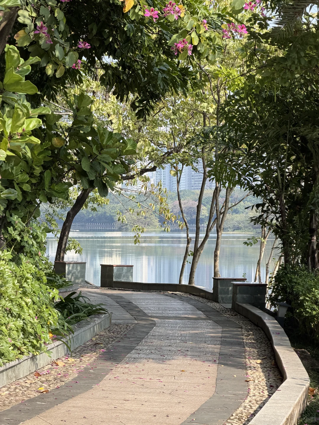 不会还有人没去过南宁这个公园吧…