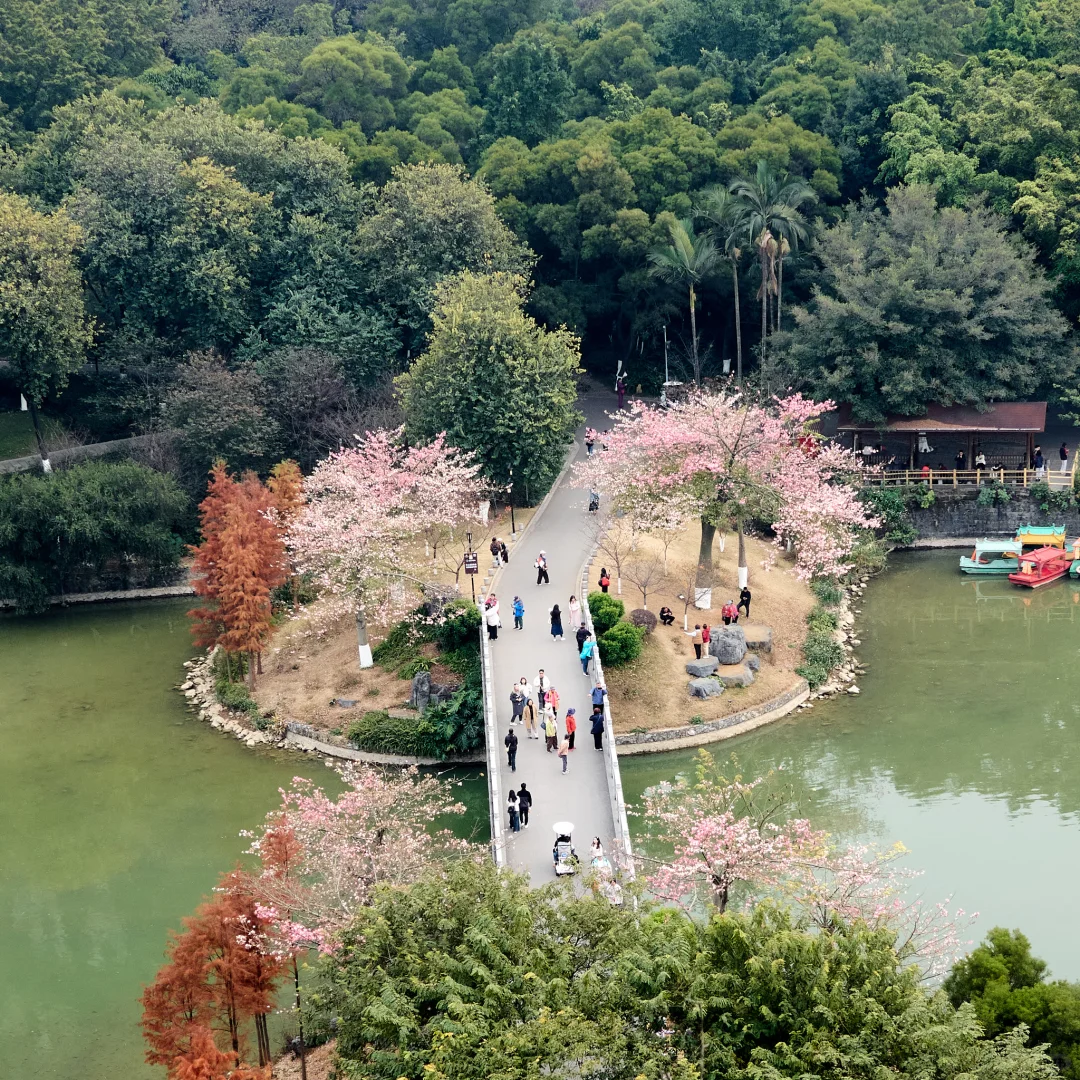 柳州，一座来了就不想走的宝藏小城！