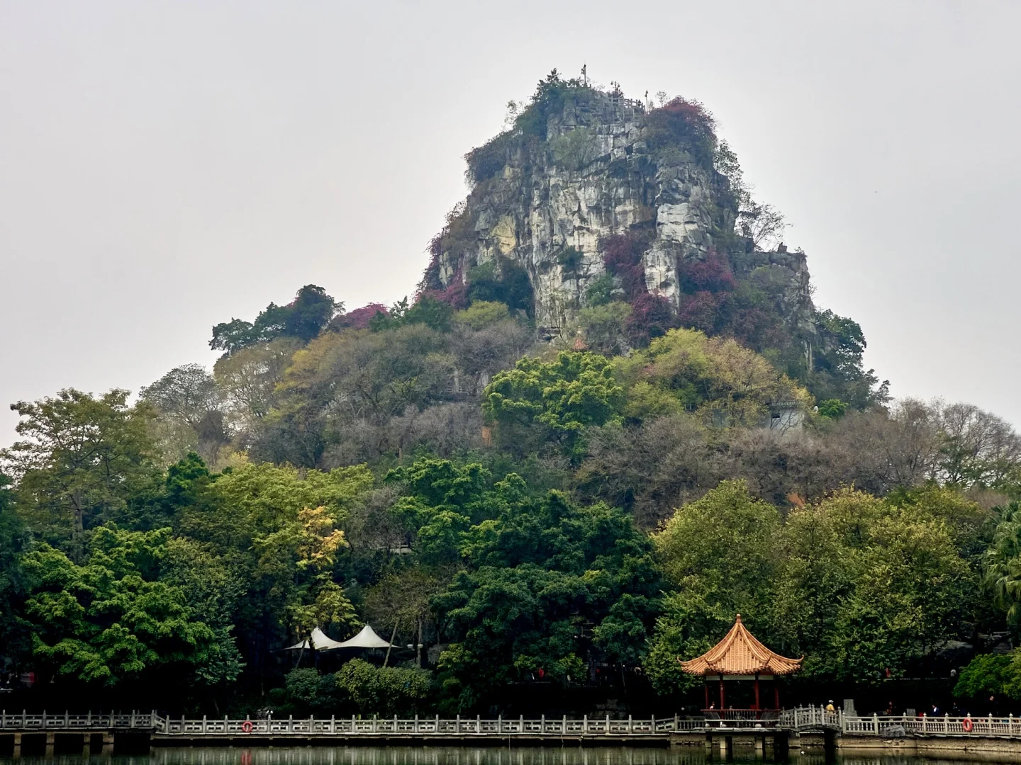 柳州，一座来了就不想走的宝藏小城！