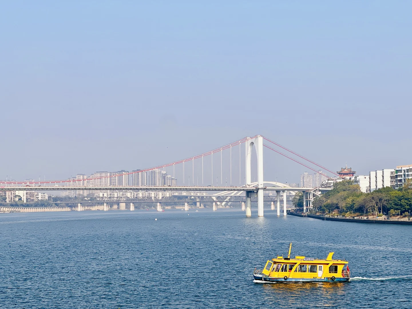 柳州，一座来了就不想走的宝藏小城！