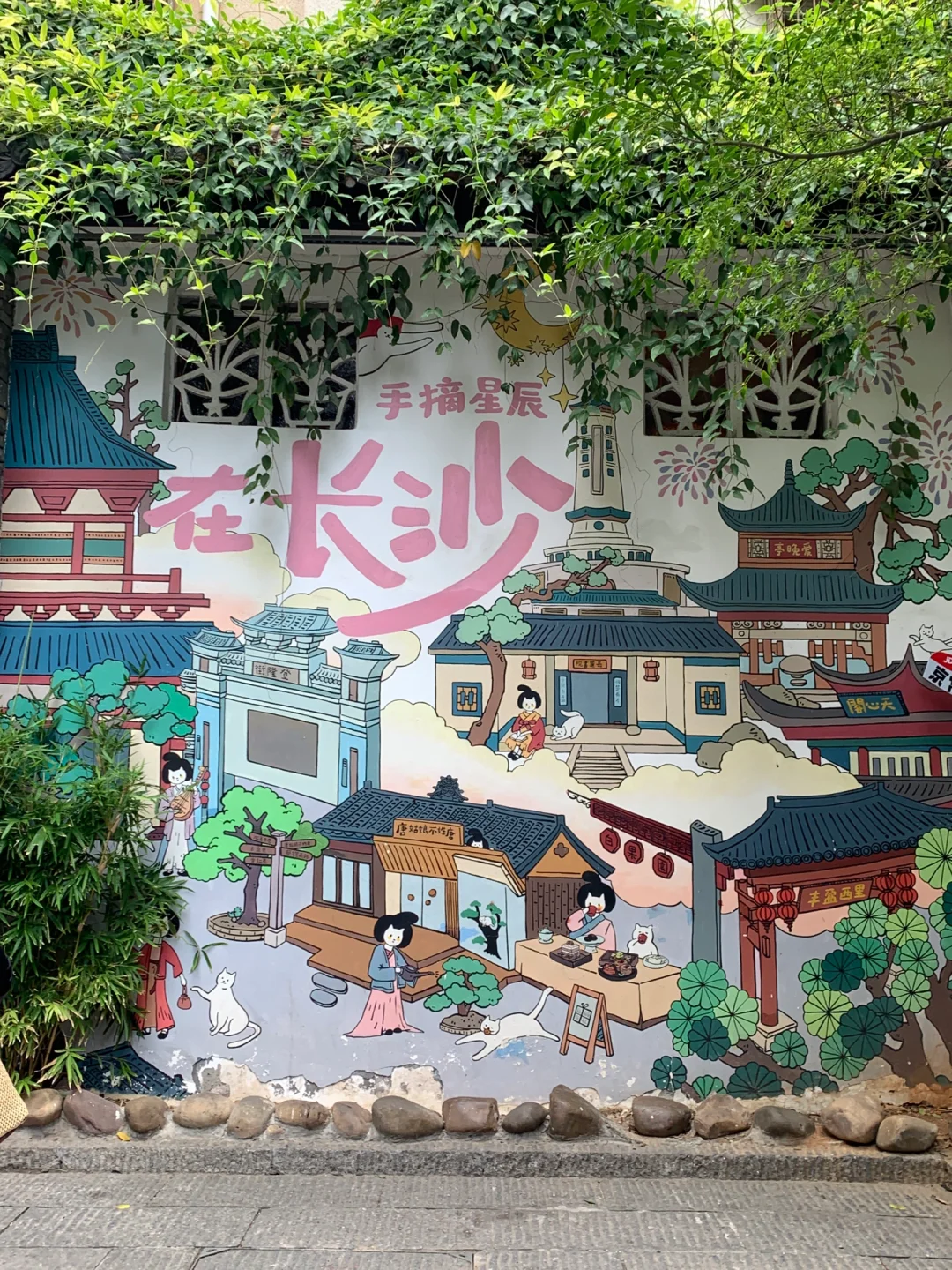 10.29📍长沙受冻已回，我的避雷建议🥶