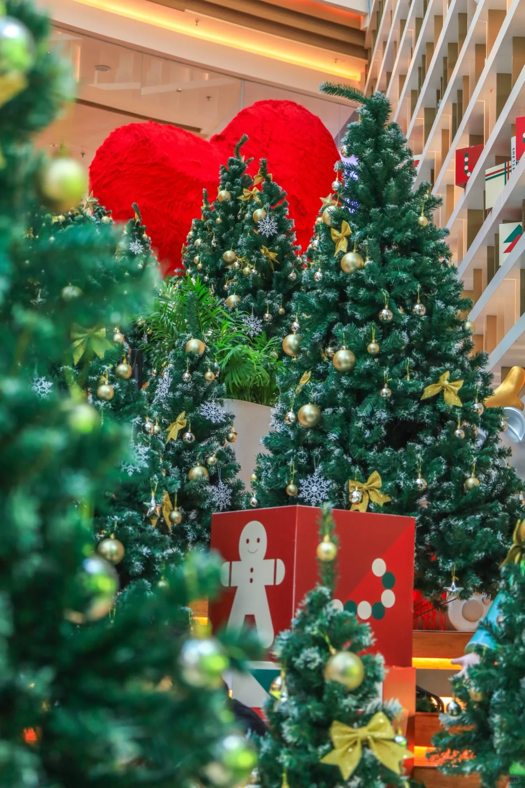 长沙圣诞氛围已拉满🎄人少免费拍不够📷