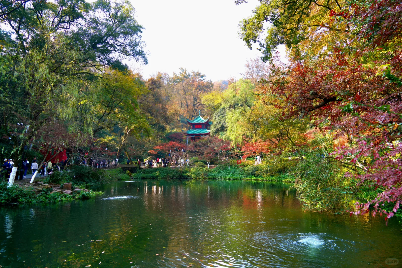 岳麓山｜枫叶季来了！来看长沙的秋日油画