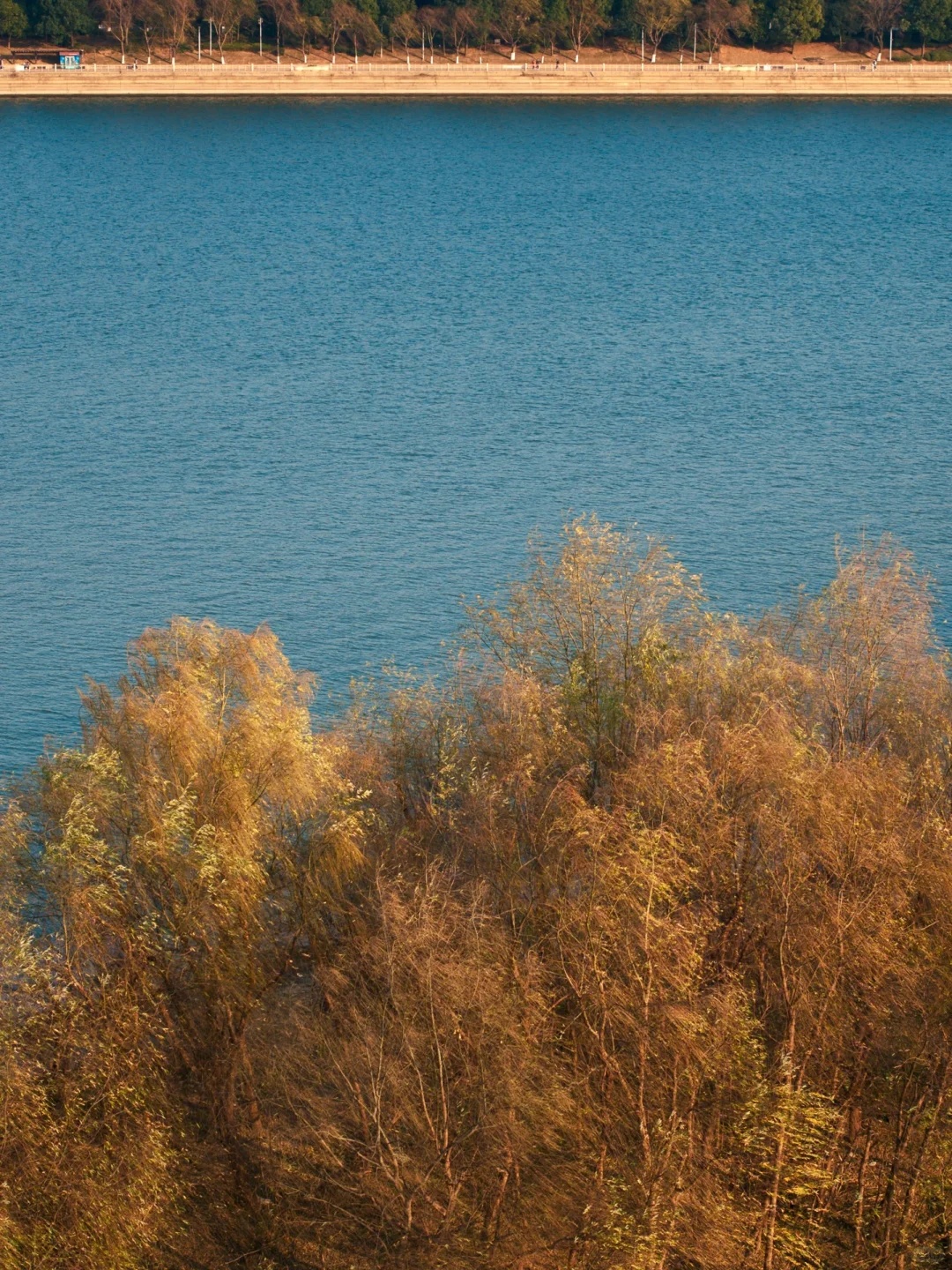 长沙这海真好看｜湘江滩