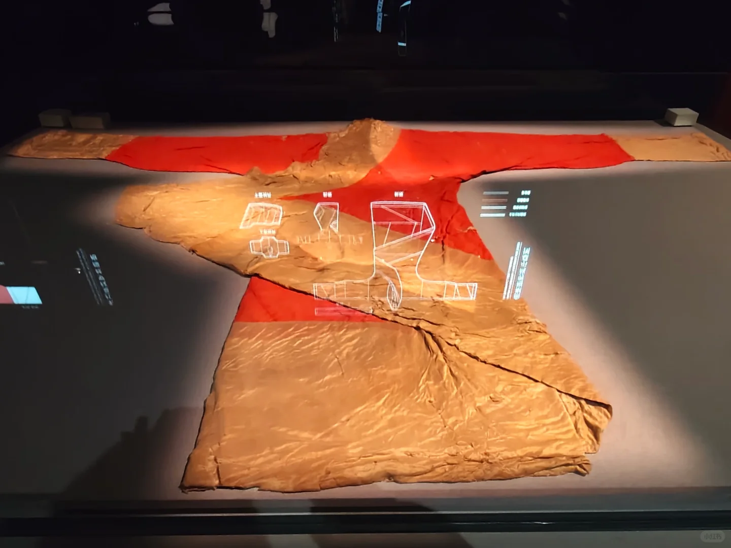 忍着恐惧还是去看了一眼辛追夫人‼️㊙️