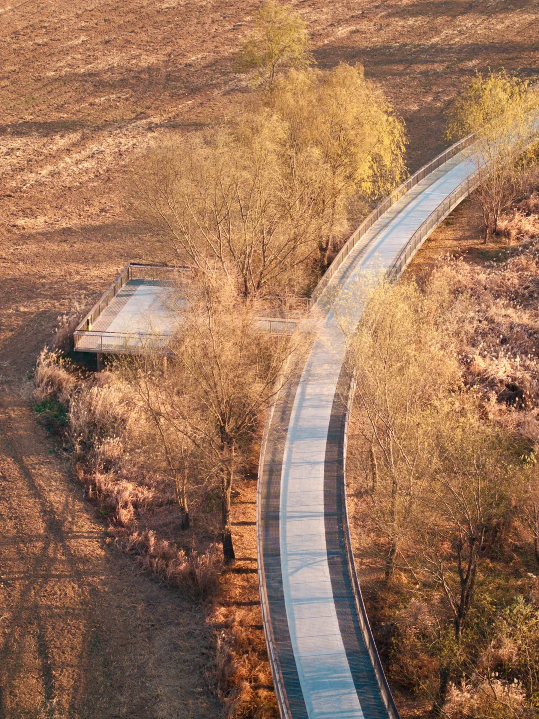 长沙这海真好看｜湘江滩