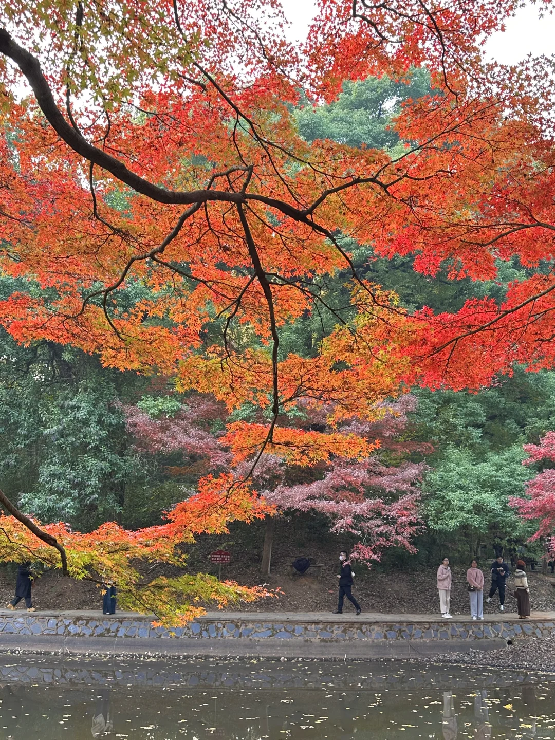 接下来的长沙，比想象中的还要美（附打卡攻略