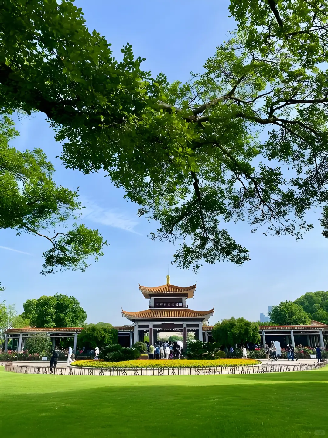 🌶️长沙 | 一场超松弛的火辣之旅来啦