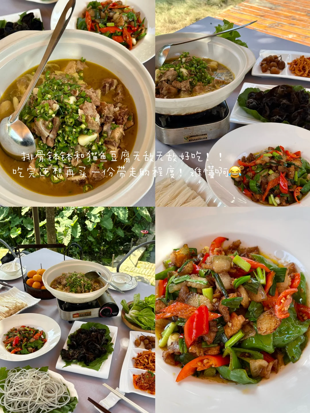 常德周末好去处🌳森林里的艺术疗愈空间！！