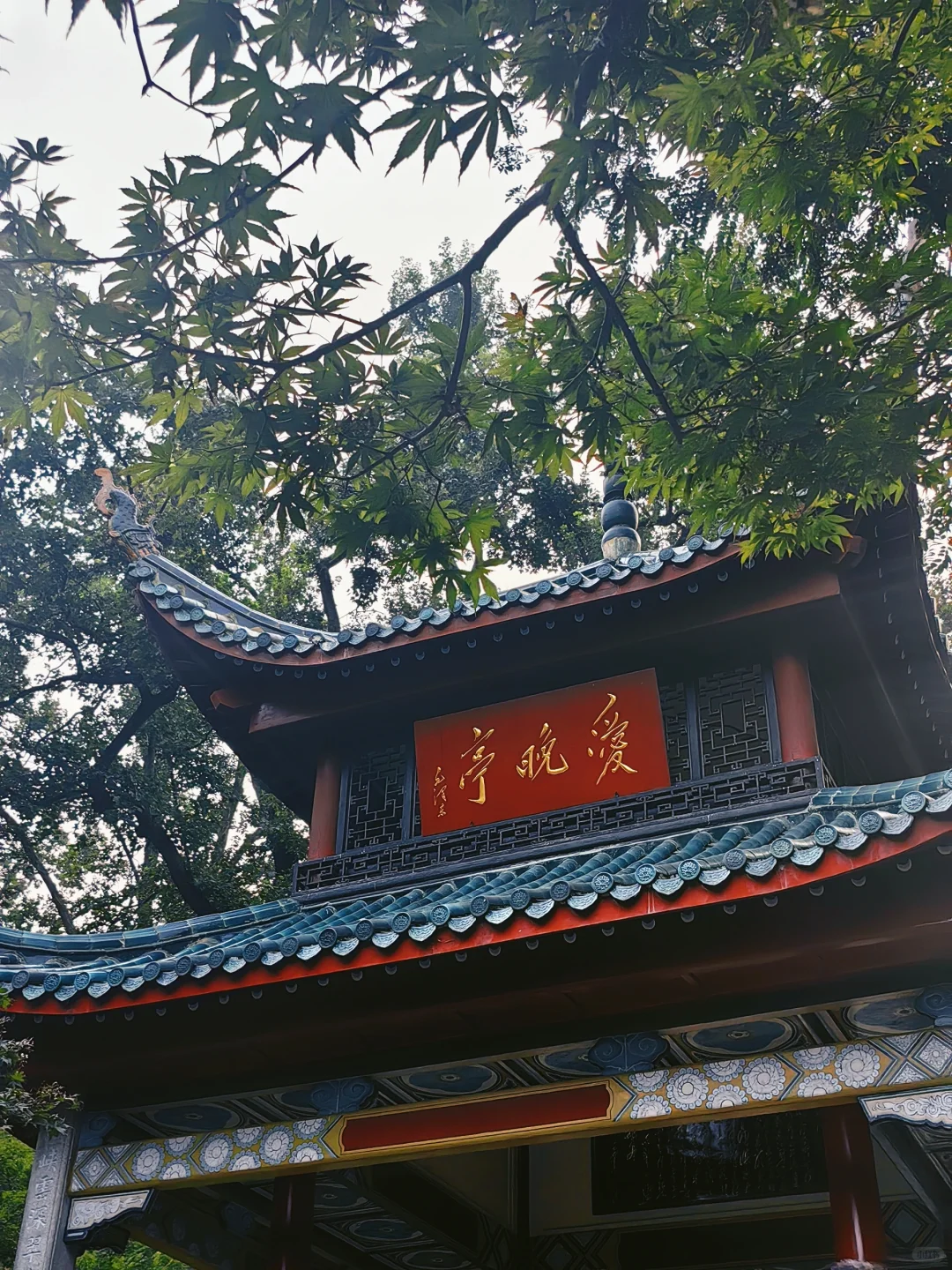 总要来趟长沙吧