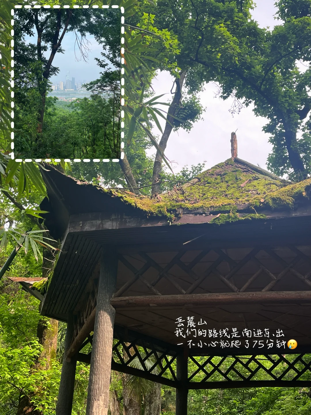 长沙72小时｜3天2晚吃喝玩一站式笔记📝