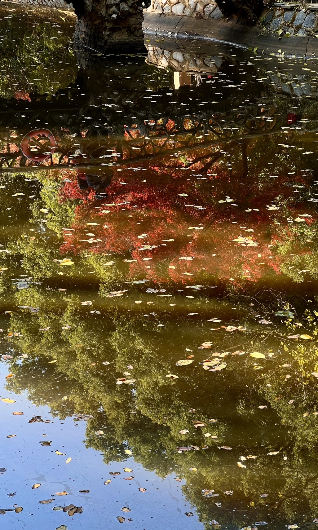 别挤爱晚亭！长沙这里的红枫即将美到封神😭