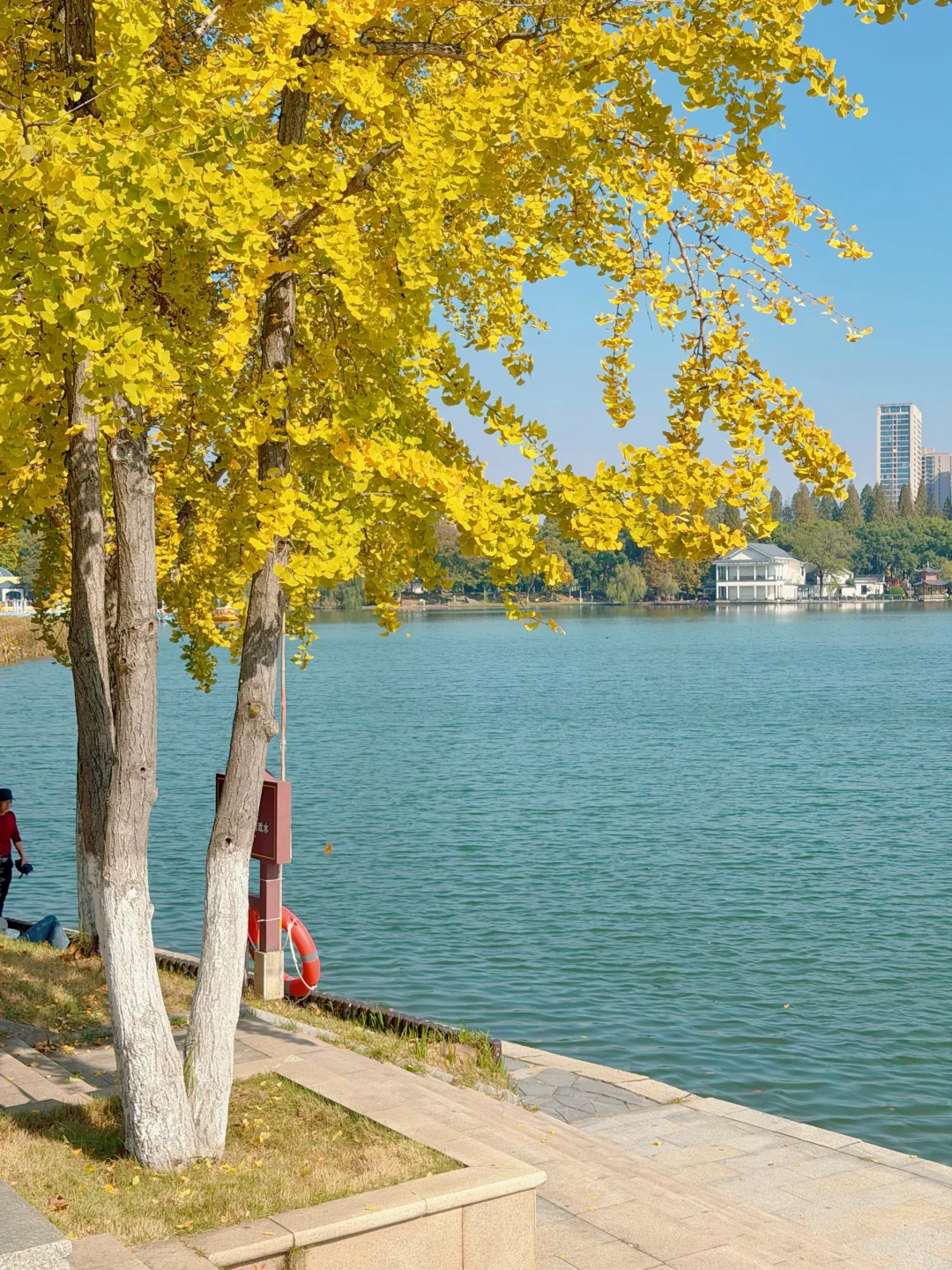 11.14实况！长沙的秋天简直美绝了～