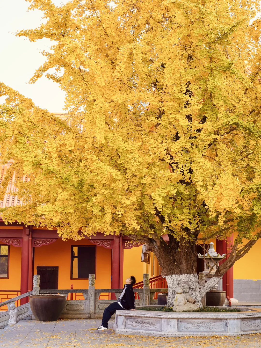 接下来的长沙🍂将迎来属于它的秋日高光时刻