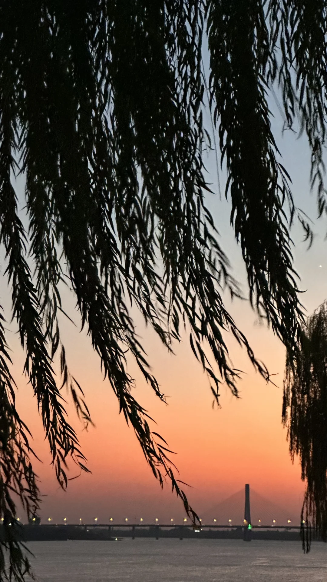 为什么都说常德宜居😎😎😎😎