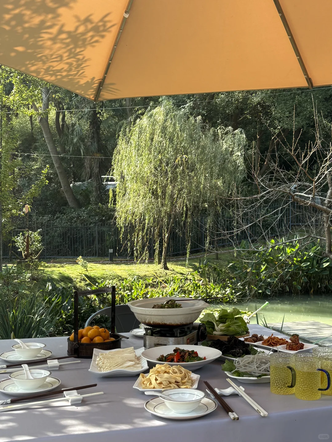 常德周末好去处🌳森林里的艺术疗愈空间！！