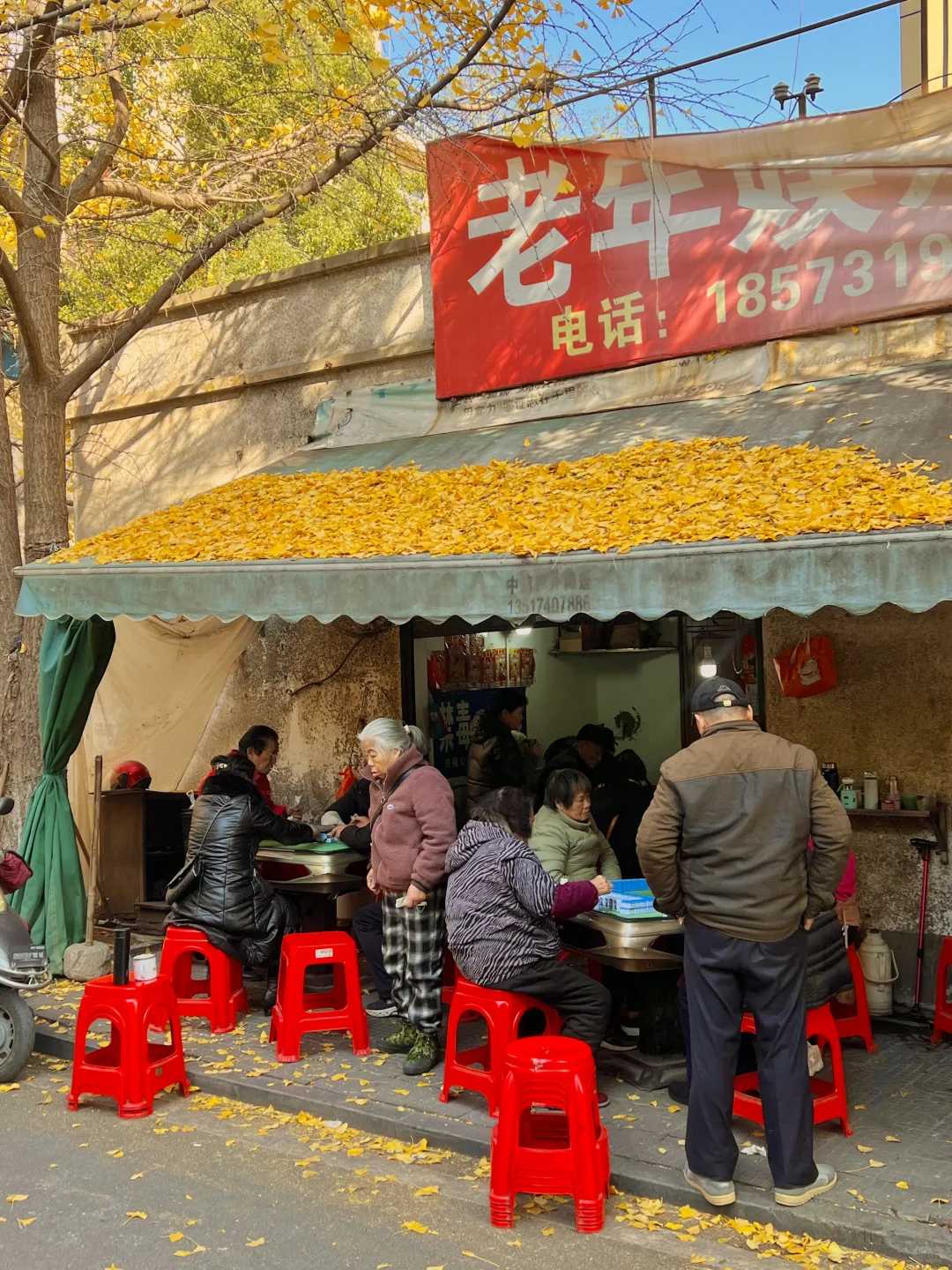 长沙！！老舍笔下的秋！！！