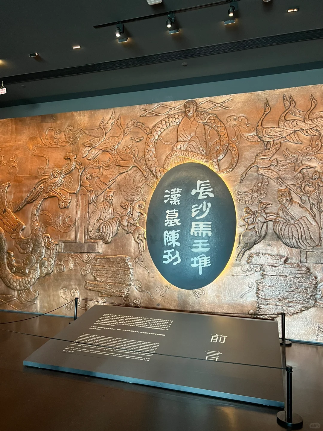 想你的風還是吹到了長沙🍃