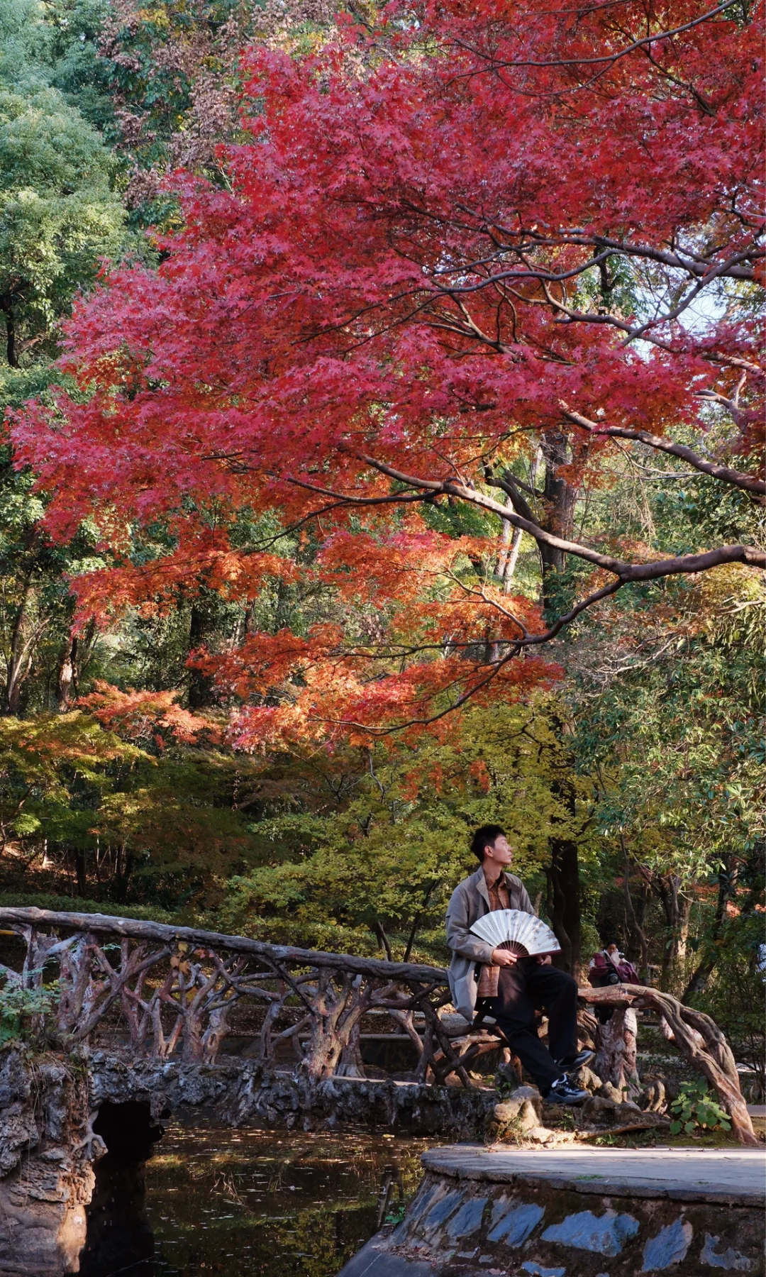 别挤爱晚亭！长沙这里的红枫即将美到封神😭