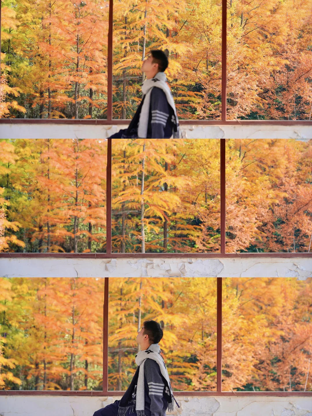 接下来的长沙🍂将迎来属于它的秋日高光时刻