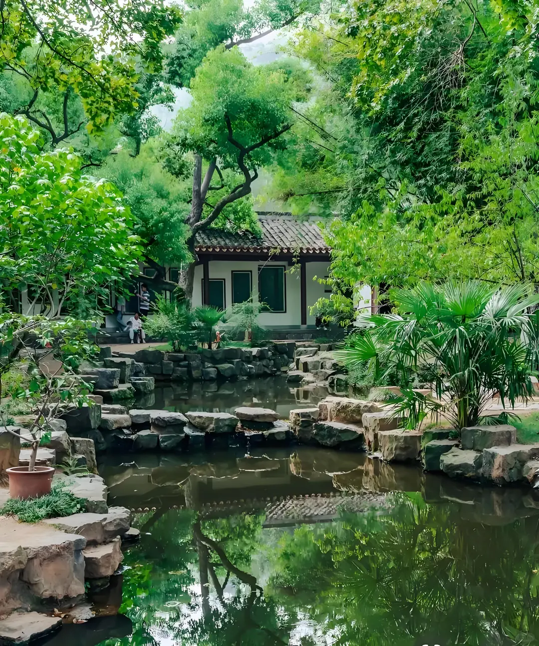 🌶️长沙 | 一场超松弛的火辣之旅来啦