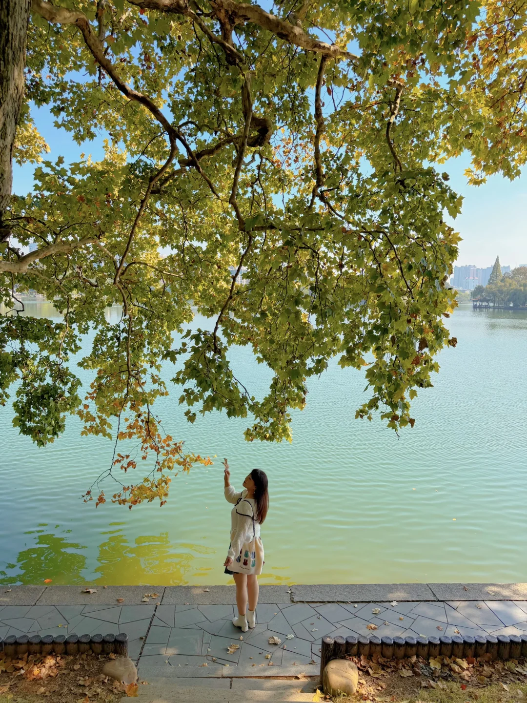 11.14实况！长沙的秋天简直美绝了～