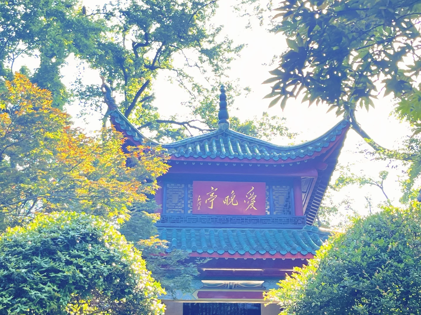 📍Changsha~一座热辣滚烫的城市