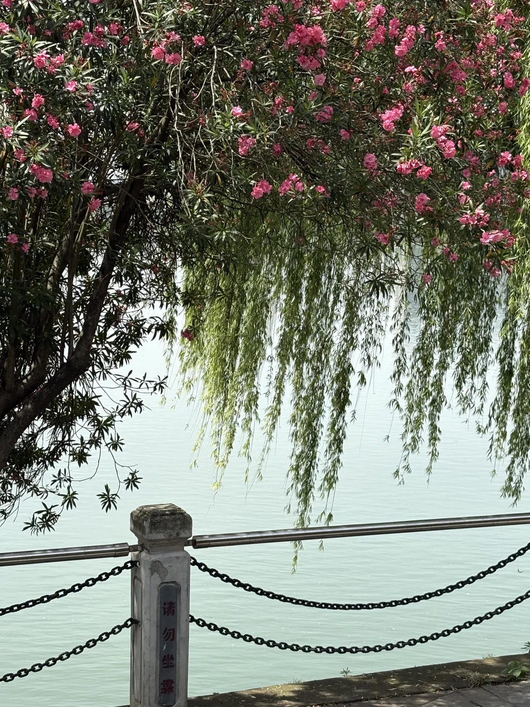 在湖南玩02｜常德两天一夜逛吃攻略❗