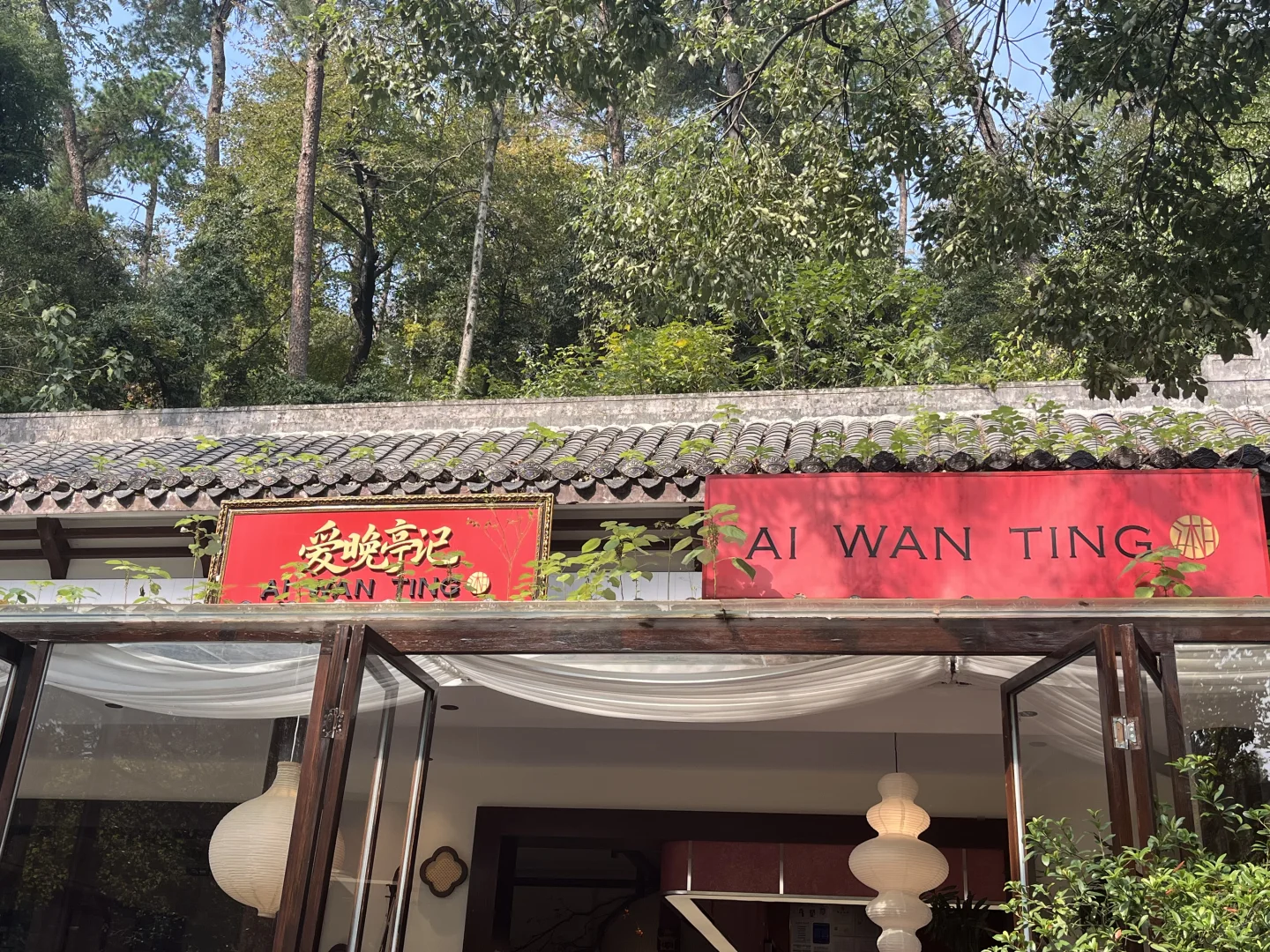 秋假第二天，橘子洲、岳麓山