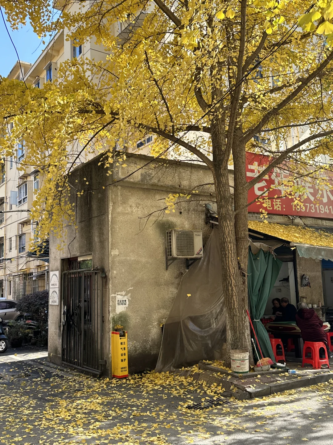 接下来的长沙，比想象中的还要美（附打卡攻略