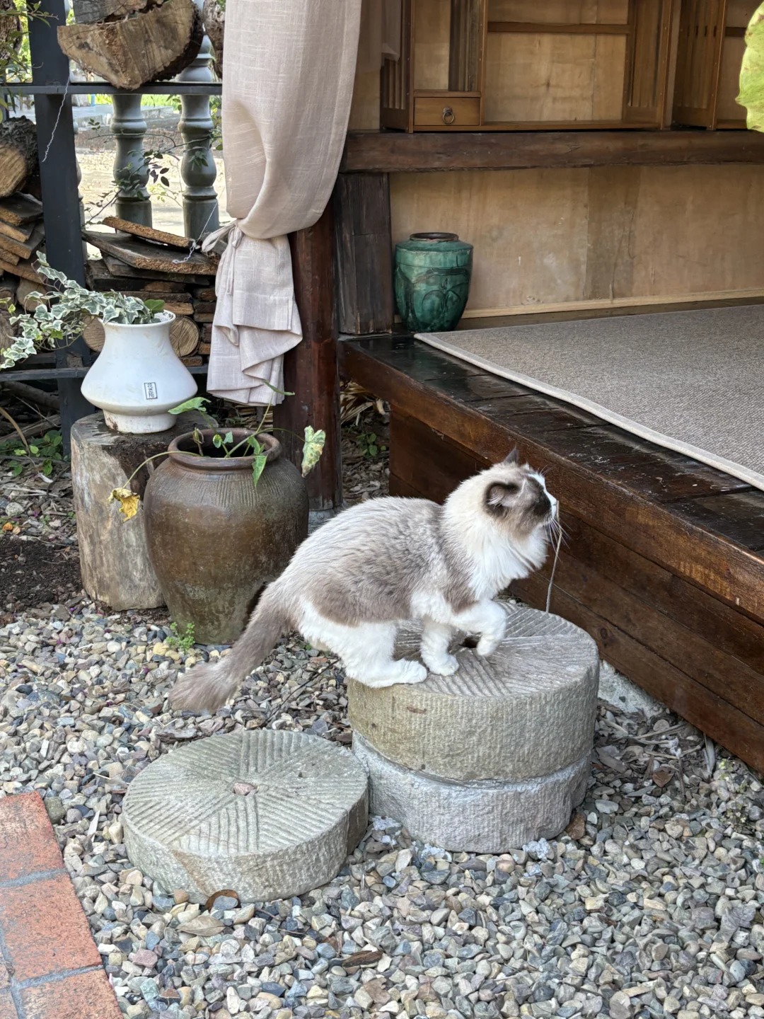 常德周末好去处🌳森林里的艺术疗愈空间！！