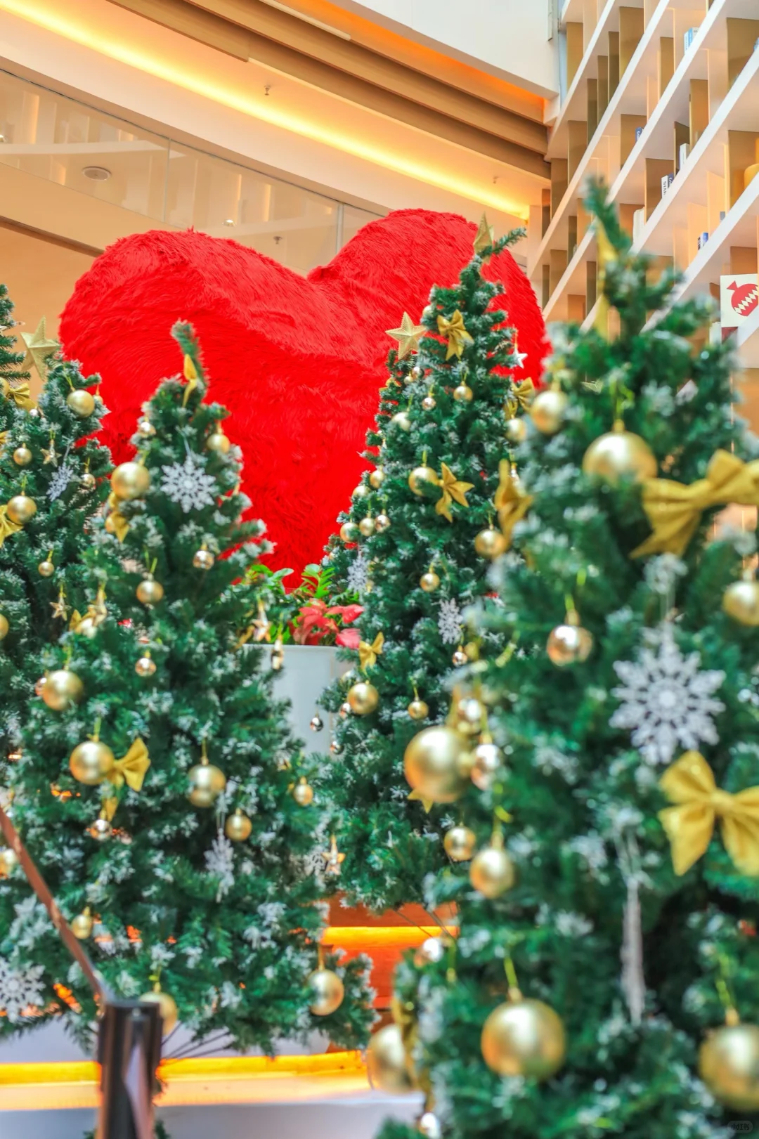 长沙圣诞氛围已拉满🎄人少免费拍不够📷