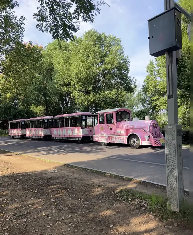 凭长沙今天的天气 我原谅你昨天的冰冷