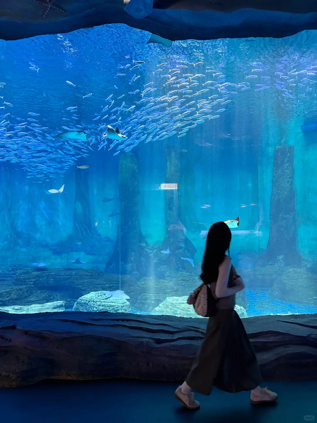 存一些长沙值得拍照打卡的地标合集（附地址