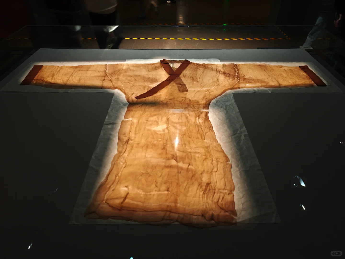 忍着恐惧还是去看了一眼辛追夫人‼️㊙️