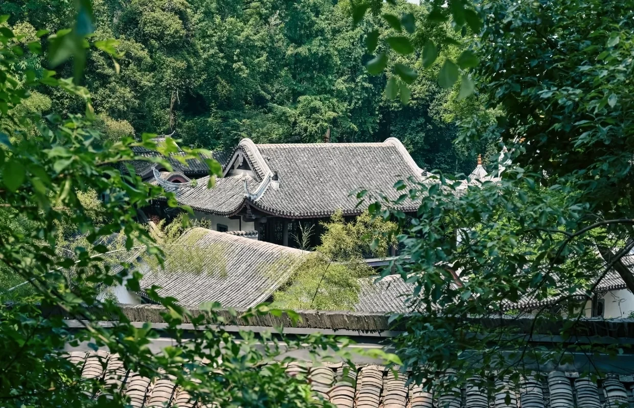 本地人私藏后花园，外地游客必打卡文化地标