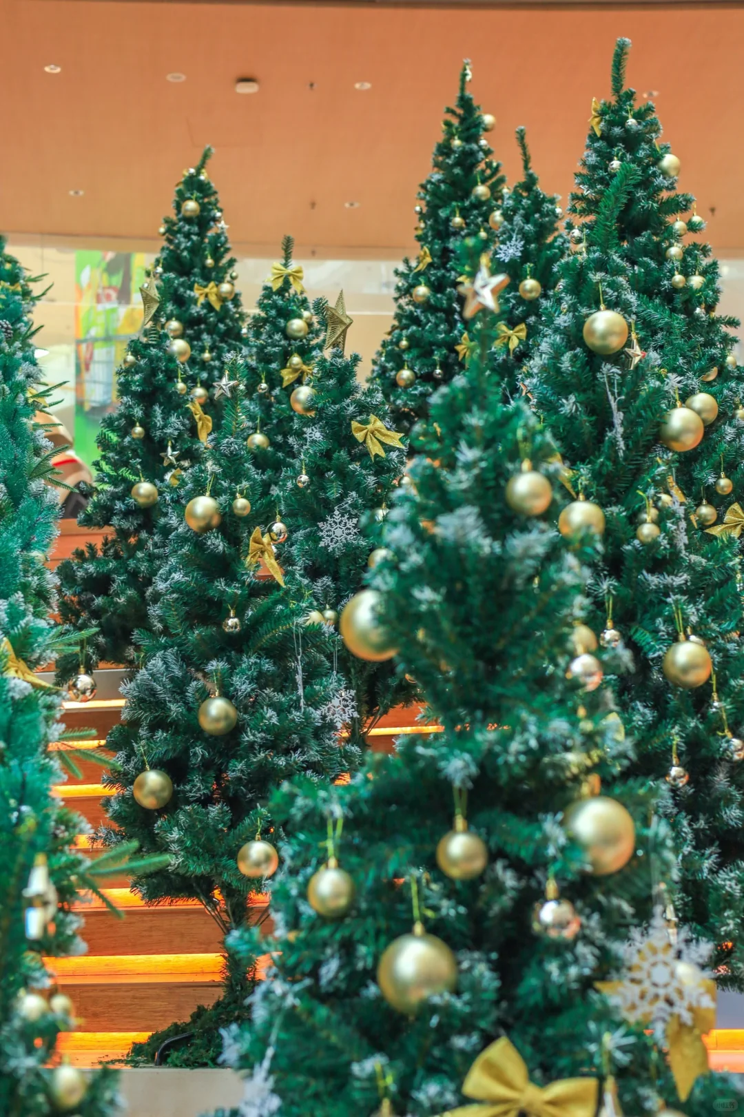 长沙圣诞氛围已拉满🎄人少免费拍不够📷