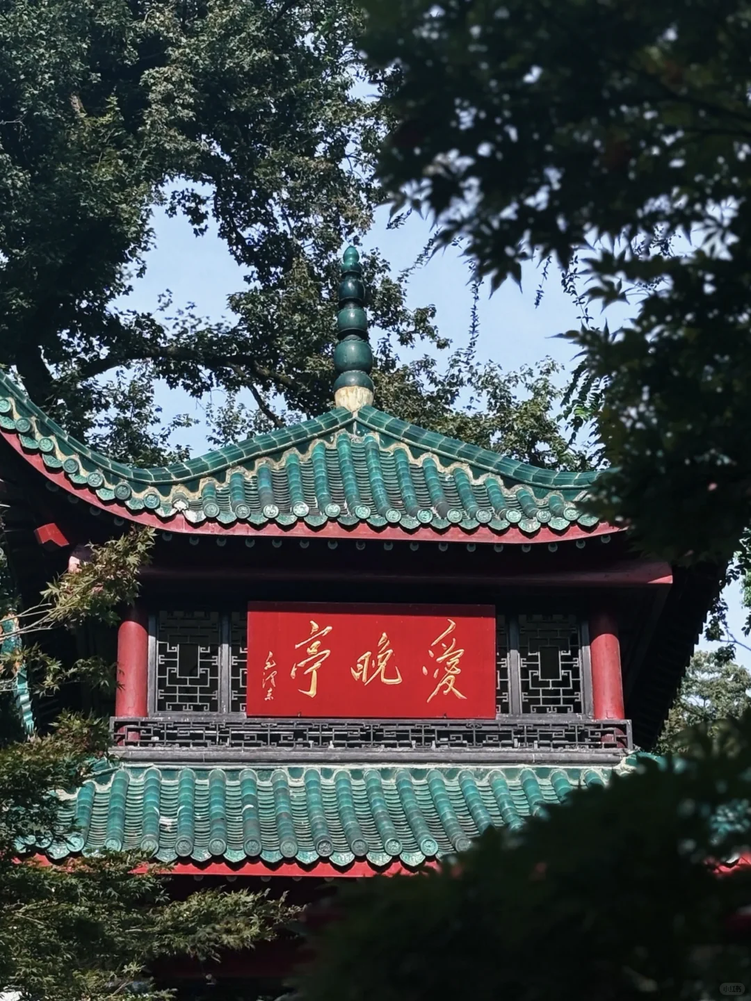 📍长沙·白天避暑，夜晚狂欢玩法看过来