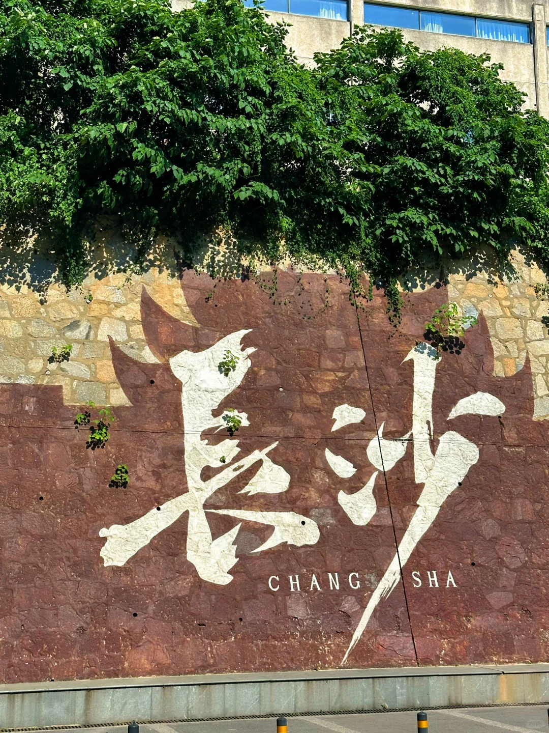 去长沙就为了这16张live图！