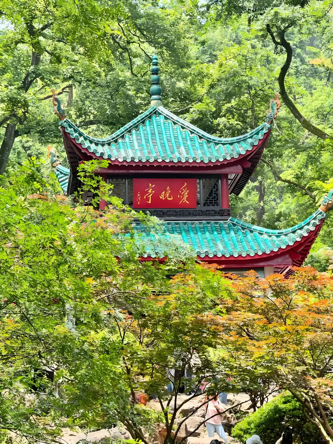 🌶️长沙 | 一场超松弛的火辣之旅来啦