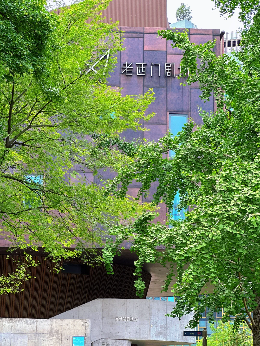 常德｜在好朋友的家乡做快乐的大人🌿