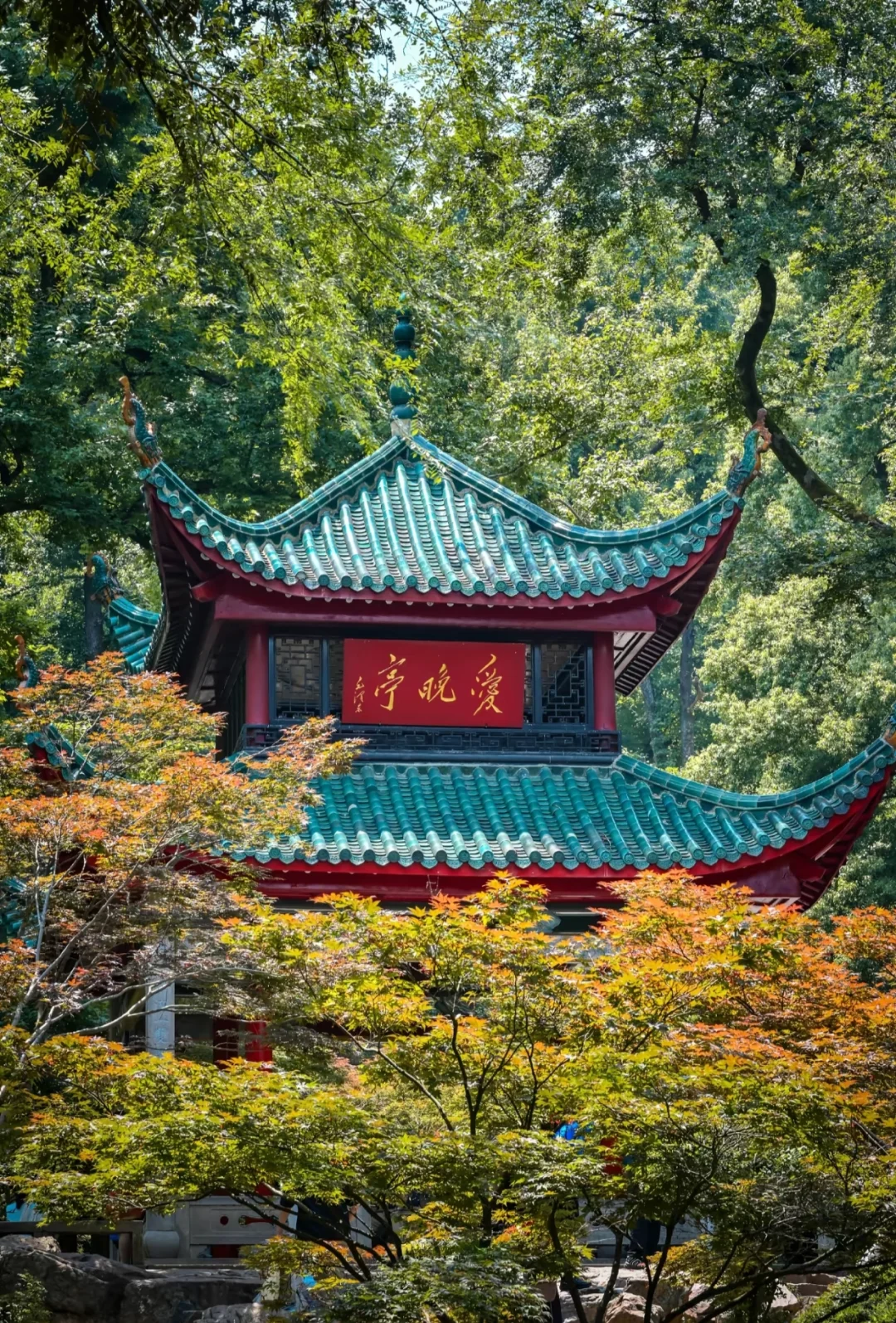 本地人私藏后花园，外地游客必打卡文化地标