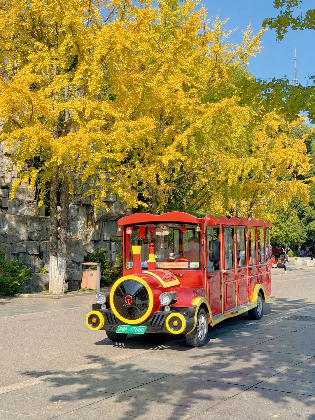 11.14实况！长沙的秋天简直美绝了～