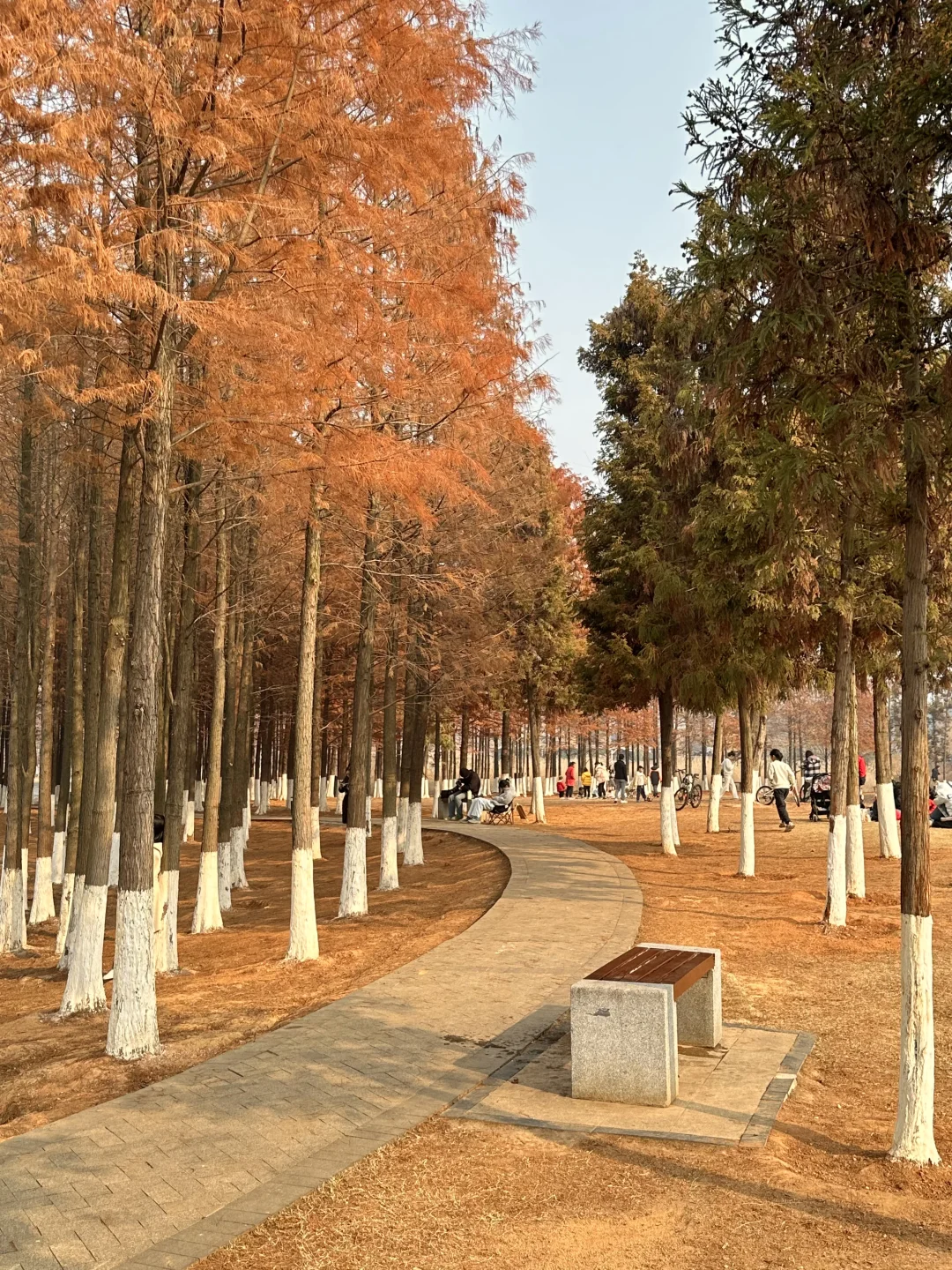 接下来的长沙，比想象中的还要美（附打卡攻略