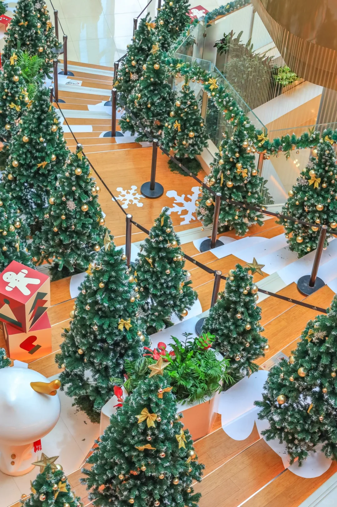 长沙圣诞氛围已拉满🎄人少免费拍不够📷